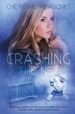 Das Netz zerschmettern - Crashing The Net