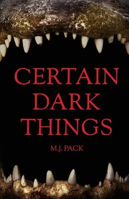 Gewisse dunkle Dinge: Geschichten - Certain Dark Things: Stories