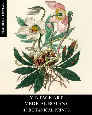 Vintage Kunst: Medizinische Botanik: 40 botanische Drucke - Vintage Art: Medical Botany 40 Botanical Prints