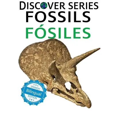 Fossilien / Fosiles - Fossils / Fosiles