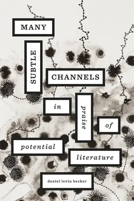 Viele subtile Kanäle: Ein Loblied auf die potentielle Literatur - Many Subtle Channels: In Praise of Potential Literature