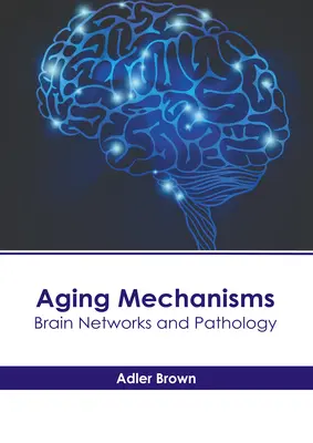 Mechanismen des Alterns: Gehirnnetzwerke und Pathologie - Aging Mechanisms: Brain Networks and Pathology