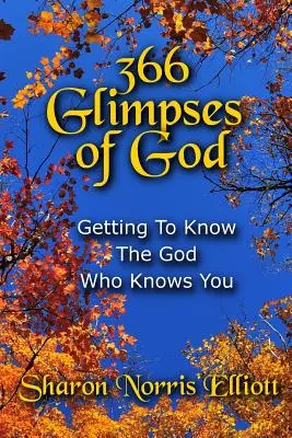 366 Einblicke in Gott: Den Gott kennenlernen, der dich kennt - 366 Glimpses Of God: Getting To Know The God Who Knows You