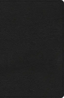 CSB Studienbibel für den Alltag, Schwarzes Lederband - CSB Everyday Study Bible, Black Bonded Leather