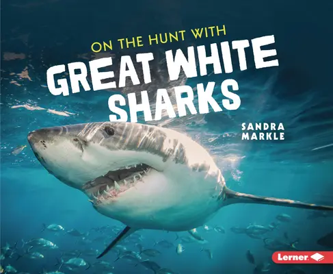 Auf der Jagd mit Weißen Haien - On the Hunt with Great White Sharks