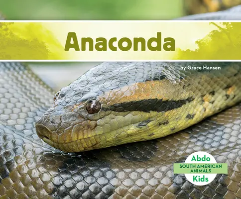 Anakonda - Anaconda