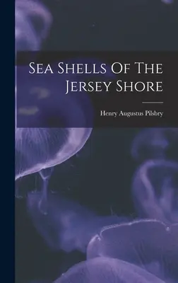 Muscheln der Jersey Shore - Sea Shells Of The Jersey Shore