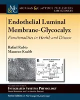 Endothelial Luminal Membrane-Glycocalyx: Funktionalitäten in Gesundheit und Krankheit - Endothelial Luminal Membrane-Glycocalyx: Functionalities in Health and Disease