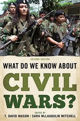 Was wissen wir über Bürgerkriege? - What Do We Know about Civil Wars?