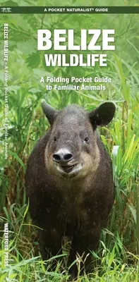 Belize Wildlife: Faltbarer Taschenführer für bekannte Tiere - Belize Wildlife: A Folding Pocket Guide to Familiar Animals