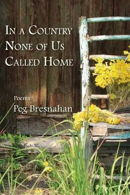 In einem Land, das keiner von uns Heimat nannte - In a Country None of Us Called Home