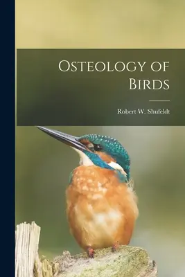 Osteologie der Vögel - Osteology of Birds