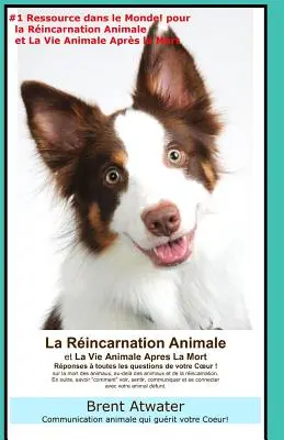 Die Reinkarnation von Tieren und das Leben von Tieren nach dem Tod: Antworten auf alle Fragen Ihres Herzens! - La Reincarnation Animales et La Vie Animale Apres La Mort: Reponses a toutes les Questions de votre Coeur!