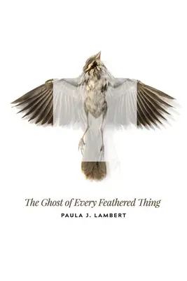 Der Geist von jedem gefiederten Ding - The Ghost of Every Feathered Thing