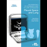 Grundlagen des tierärztlichen Point-of-Care-Ultraschalls: Pleuraraum und Lunge - Essentials of Veterinary Point of Care Ultrasound: Pleural Space and Lung