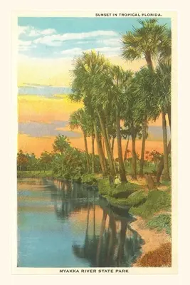 Jahrgangsjournal Sonnenuntergang im tropischen Florida, Myakka River State Park - Vintage Journal Sunset in Tropical Florida, Myakka River State Park