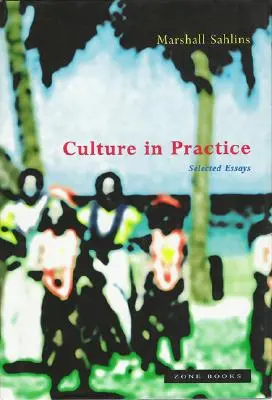 Kultur in der Praxis: Ausgewählte Aufsätze - Culture in Practice: Selected Essays