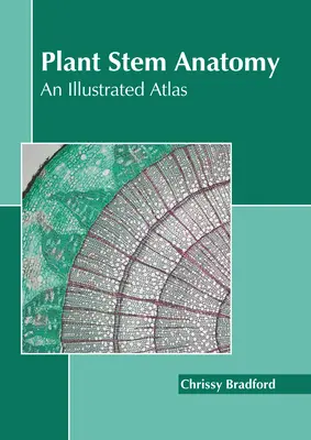 Anatomie der Pflanzenstämme: Ein illustrierter Atlas - Plant Stem Anatomy: An Illustrated Atlas