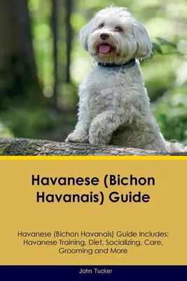 Havaneser (Bichon Havaneser) Leitfaden Havaneser Leitfaden enthält: Havanesisches Training, Ernährung, Sozialisierung, Pflege und mehr - Havanese (Bichon Havanais) Guide Havanese Guide Includes: Havanese Training, Diet, Socializing, Care, Grooming, and More