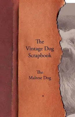 The Vintage Dog Scrapbook - Der Malteser - The Vintage Dog Scrapbook - The Maltese