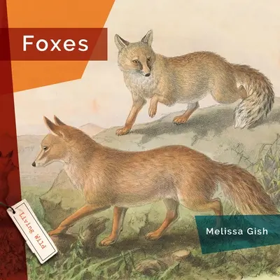 Füchse - Foxes