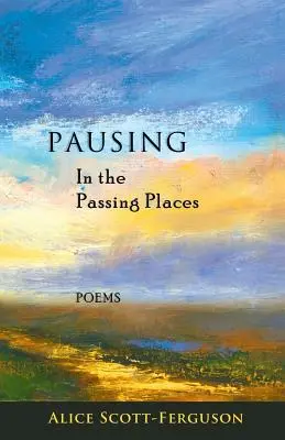 Innehalten an den vorbeiziehenden Plätzen: Gedichte - Pausing in the Passing Places: Poems