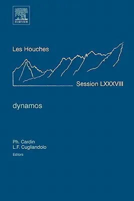 Dynamos: Vortragsnotizen der Les Houches Summer School 2007 - Dynamos: Lecture Notes of the Les Houches Summer School 2007