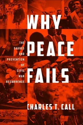 Warum der Frieden scheitert: Die Ursachen und die Verhinderung des Wiederaufflammens von Bürgerkriegen - Why Peace Fails: The Causes and Prevention of Civil War Recurrence