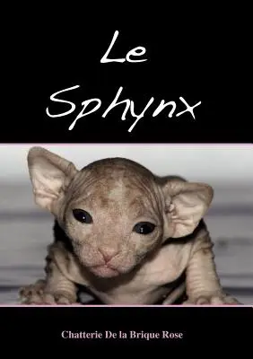 Die Sphynx - Le sphynx