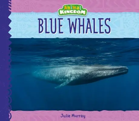 Blauwale - Blue Whales