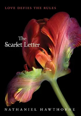 Der scharlachrote Buchstabe - The Scarlet Letter