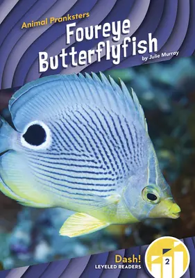Vieraugen-Falterfisch - Foureye Butterflyfish