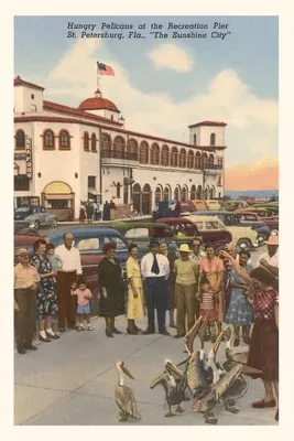 Jahrgangstagebuch Pelikane, St. Petersburg, Florida - Vintage Journal Pelicans, St. Petersburg, Florida
