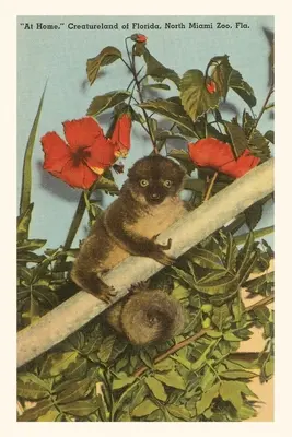 Jahrgangsjournal Langsame Loris, Hibiskus, Florida - Vintage Journal Slow Loris, Hibiscus, Florida