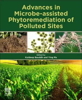 Fortschritte bei der mikrobengestützten Phytosanierung von verschmutzten Standorten - Advances in Microbe-Assisted Phytoremediation of Polluted Sites