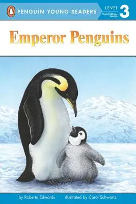 Kaiserpinguine - Emperor Penguins