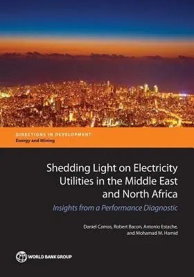 Elektrizitätsversorgungsunternehmen im Nahen Osten und Nordafrika: Erkenntnisse aus einer Leistungsdiagnose - Shedding Light on Electricity Utilities in the Middle East and North Africa: Insights from a Performance Diagnostic