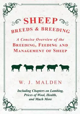 Schafsrassen und -zucht - Ein kompakter Überblick über Zucht, Fütterung und Haltung von Schafen, einschließlich Kapiteln über Ablammen, Wollpreise, Gesundheit - Sheep Breeds and Breeding - A Concise Overview of the Breeding, Feeding and Management of Sheep, Including Chapters on Lambing, Prices of Wool, Health