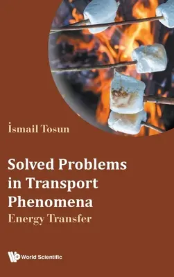 Gelöste Probleme in Transportphänomenen: Energieübertragung - Solved Problems in Transport Phenomena: Energy Transfer