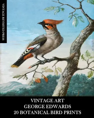 Alte Kunst: George Edwards: 20 botanische Vogeldrucke: Ephemera für Einrahmung, Wohnkultur, Collage und Decoupage - Vintage Art: George Edwards: 20 Botanical Bird Prints: Ephemera for Framing, Home Decor, Collage and Decoupage