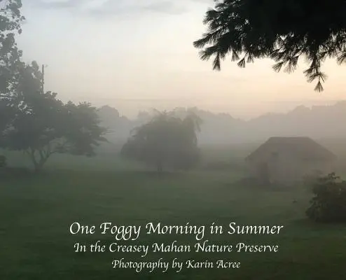 Ein nebliger Morgen im Sommer: Im Creasey Mahan Naturreservat - One Foggy Morning in Summer: In the Creasey Mahan Nature Preserve