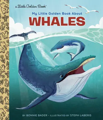 Mein kleines goldenes Buch über Wale - My Little Golden Book about Whales