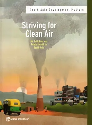 Umgebungsluftverschmutzung und öffentliche Gesundheit in Südasien - Ambient Air Pollution and Public Health in South Asia