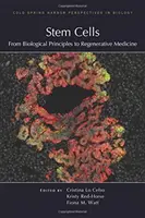 Stammzellen: Von den biologischen Grundlagen zur regenerativen Medizin - Stem Cells: From Biological Principles to Regenerative Medicine