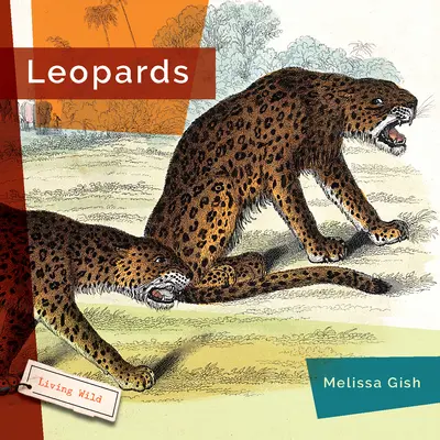 Leoparden - Leopards