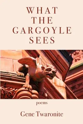Was der Gargoyle sieht - What the Gargoyle Sees