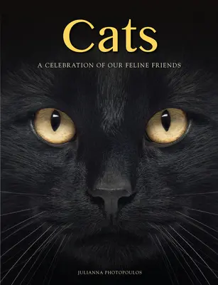 Katzen: Eine Hommage an unsere katzenartigen Freunde - Cats: A Celebration of Our Feline Friends