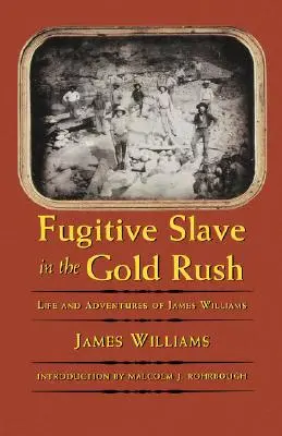 Sklavenflüchtling im Goldrausch: Leben und Abenteuer von James Williams - Fugitive Slave in the Gold Rush: Life and Adventures of James Williams