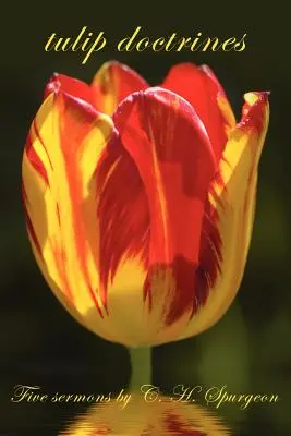 Tulpen-Lehren - tulip doctrines