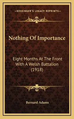 Nichts von Wichtigkeit: Acht Monate an der Front mit einem walisischen Bataillon (1918) - Nothing Of Importance: Eight Months At The Front With A Welsh Battalion (1918)